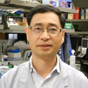 Licun Wu Headshot Licun Wu Headshot